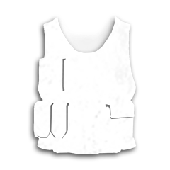 Police Vest (Level 2)