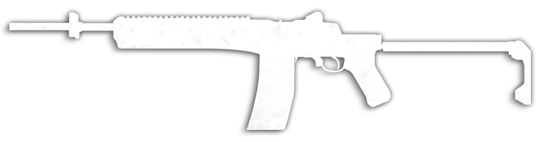 Mini 14