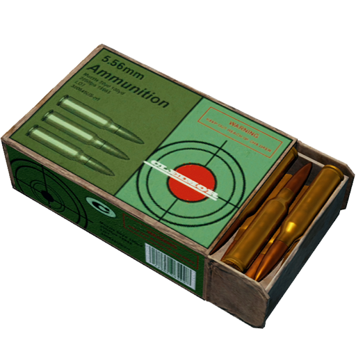 5.56mm Ammo