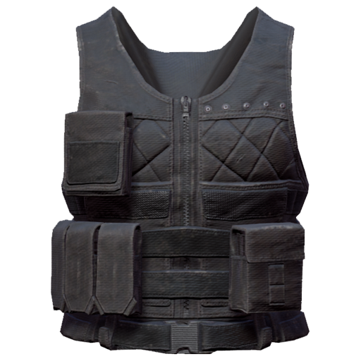 Police Vest (Level 2)