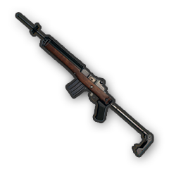 Mini 14